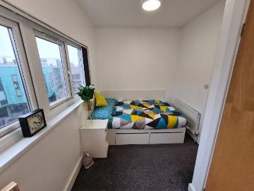 Professional Room Available