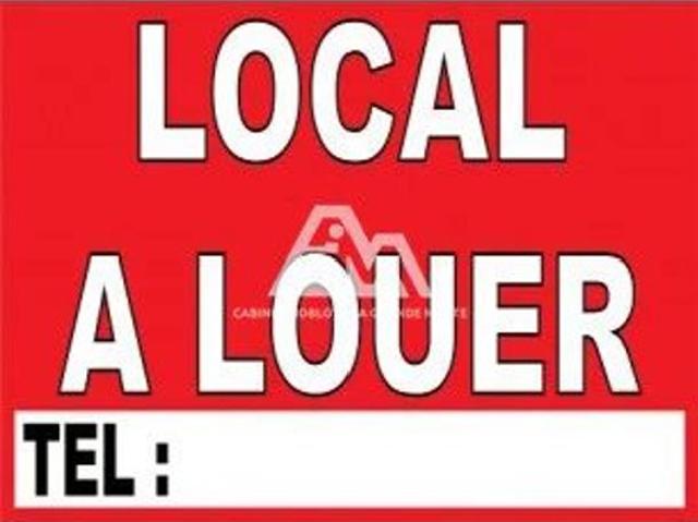 professionnel
