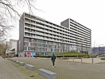 Olland, Meierijstad, Noord-Brabant - Tillen