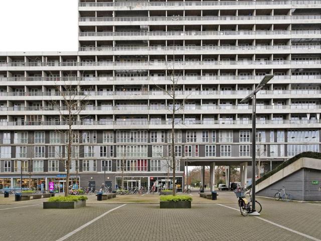 Professor de Moorplein, 75