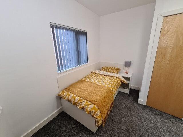 Proffesional Ensuite Room Available Now