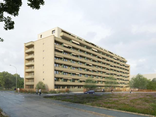 Profietez d'une superbe terrasse à Châtelaine