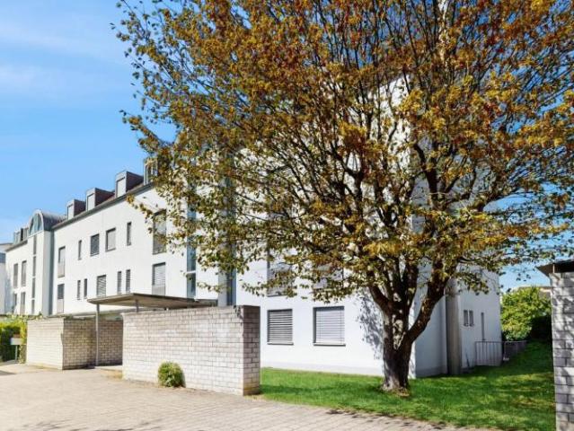 Profitez de 3 mois de loyer net offert jusqu'à fin novembre