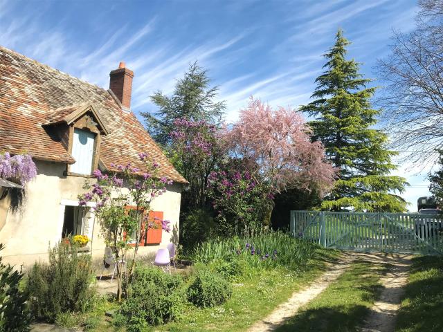 Programme résidentiel avec 2 maisons, +6 ha, granges – idéal. 120m² Vendoeuvres