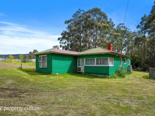 Project in Tasmania's South