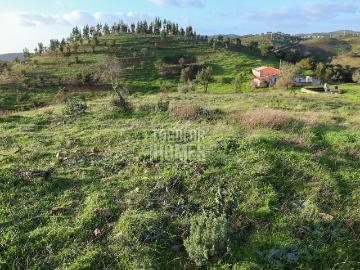 Projecto de renovação de 24,5 hectares com abundância de águ. 252m² Santa Clara a Velha