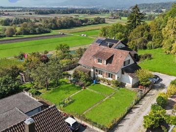 Ins, Verwaltungskreis Seeland, Verwaltungsregion Seeland, Kanton Bern