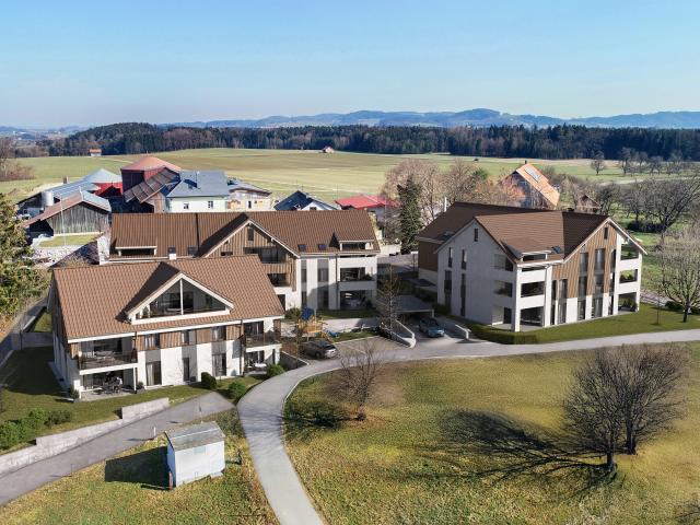 Projektankündigung: Wohnüberbauung « Zum Frohsinn» in Anetswil