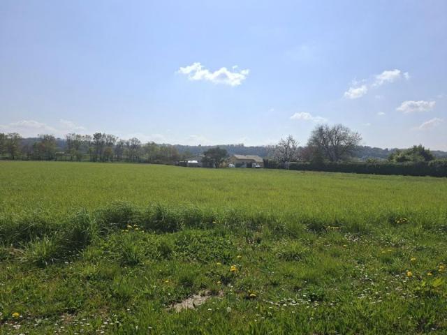Projet de construction d'une maison 95 m² avec terrain à TOULOUZETTE 40