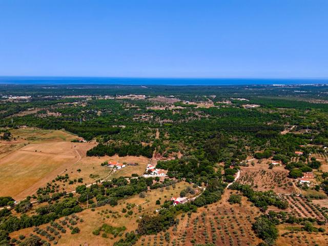 Projeto de construção aprovado em um terreno de 3,9 hectares em Melides