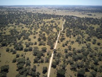 Projeto de Resort de Luxo Equestre Monforte | Alto Alentejo | Portugal A 1h30 de Lisboa