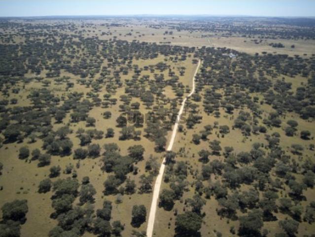 Projeto de Resort de Luxo Equestre Monforte | Alto Alentejo | Portugal A 1h30 de Lisboa