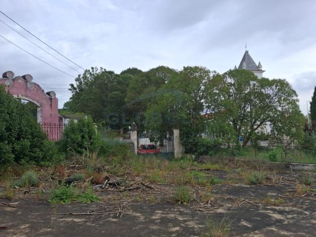 Projeto Imobiliário no Centro de Alcanena | 3.640 m² com Elevado Potencial de Construção