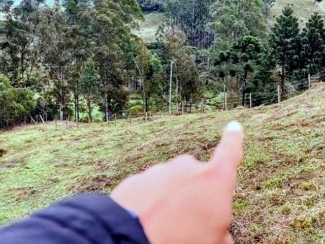 PROMOÇÃO DA INDEPENDÊNCIA – PARTE 1 | MARMELÓPOLIS/MG ️