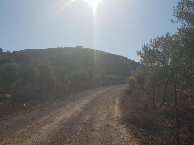 PROMOCIÓN DE DOS FINCAS RUSTICAS EN PARAJE LOS POLLOS