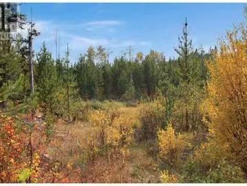 Prop Lot 12 Brown Road, Bridge Lake, BC, V0K 1E0 vacant land.