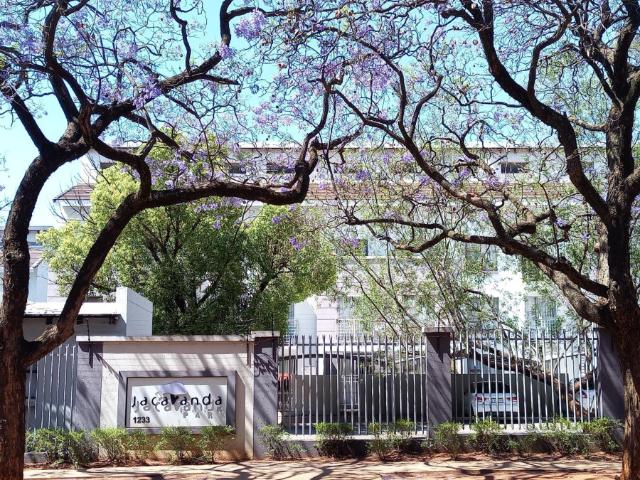Property to let in Pretoria, Hatfield