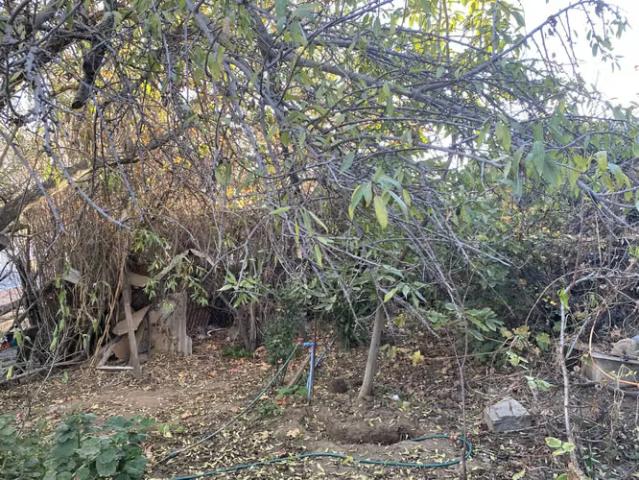Propiedad 774 m2, Las Rosas | 4 dormitorios por 79900. 00 en Quilpué