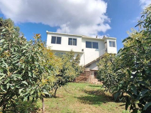 Propiedad con local y huerta en San Gabriel Ixtla