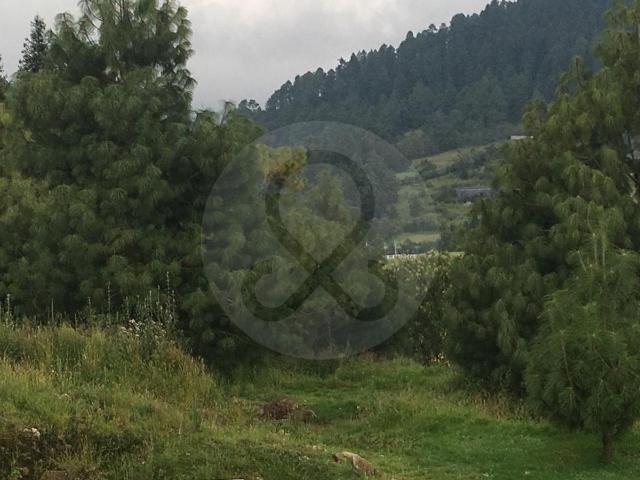 Propiedad Campestre en Venta Zona Salazar y Ca?ada de Alferez