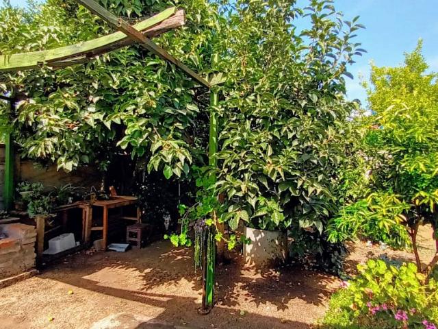 PROPIEDAD DE 320 M2 DE TERRENO, CHILLÁN VIEJO