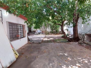 Propiedad en renta 714 m2 sobre Avenida Itzaes, frente a la clínica de Mérida