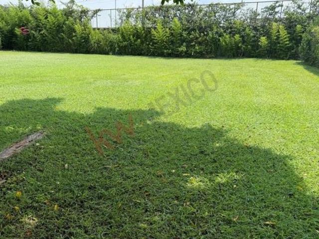Propiedad en VENTA Calle Real de Oacalco, Oacalco, 62737 Yautepec de Zaragoza, Mor, México