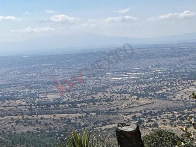 Propiedad en VENTA Camino a San Miguel Vista Hermosa, Colonia Guadalupe, Altzayanca, Tlax, México