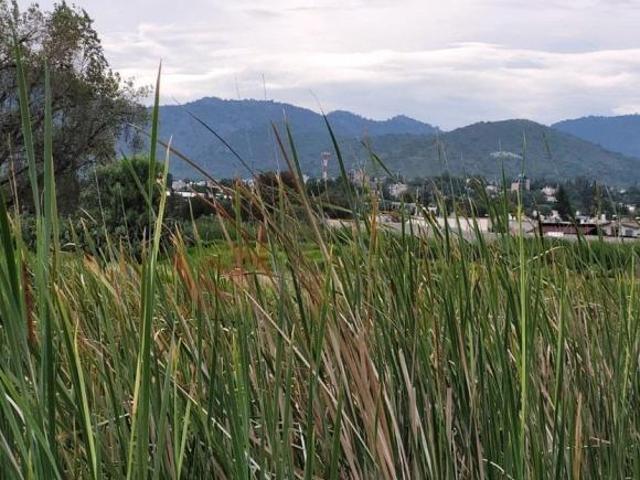 Terreno en Venta, Tolcayca higaldo especial para desarrollo habitacional