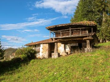 Propiedad en venta en Asturias, Grado