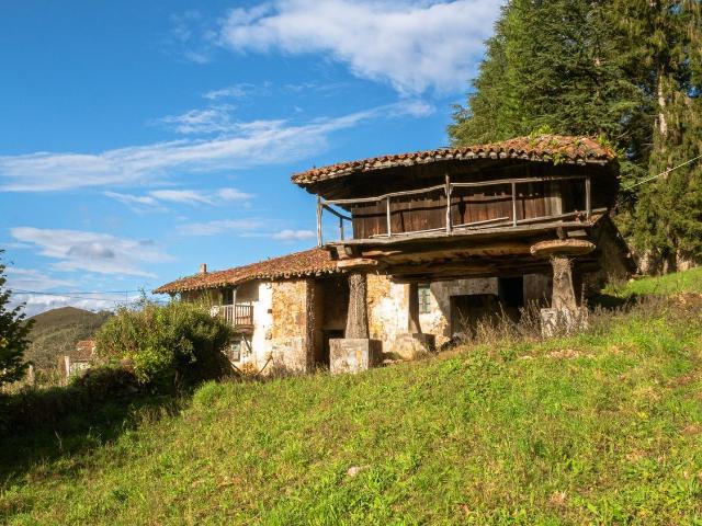 Propiedad en venta en Asturias, Grado