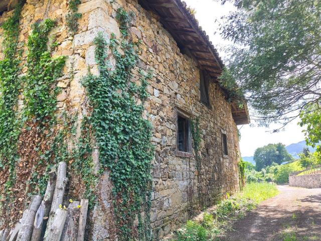 Propiedad en venta en Asturias, Salas