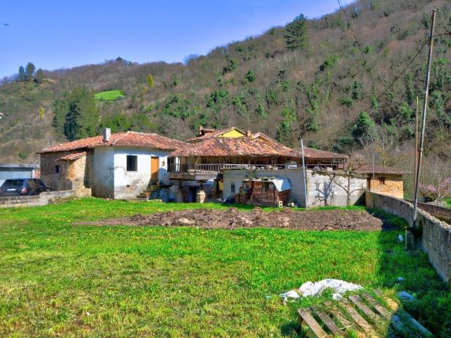 Propiedad en venta en Asturias, Tineo