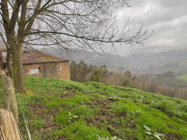 Propiedad en venta en Asturias, Tineo