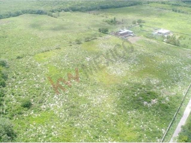Propiedad en VENTA Josefa Ortiz de Domínguez, Yalcón, 97795 Valladolid, Yuc, México