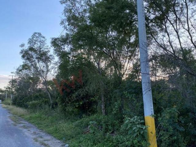 Propiedad en VENTA Privada Rodríguez 514, Cadereyta Jiménez Centro, 67480 Cadereyta Jiménez, NL, M
