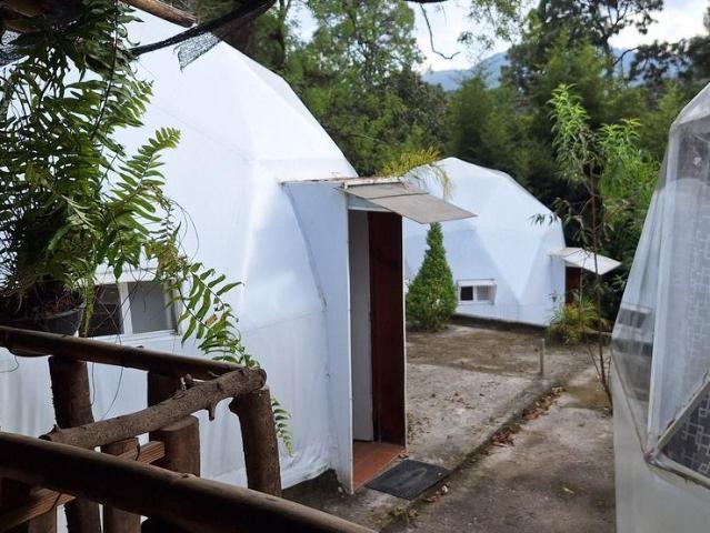 ? PROPIEDAD Y NEGOCIO EN VENTA EN AV?NDARO