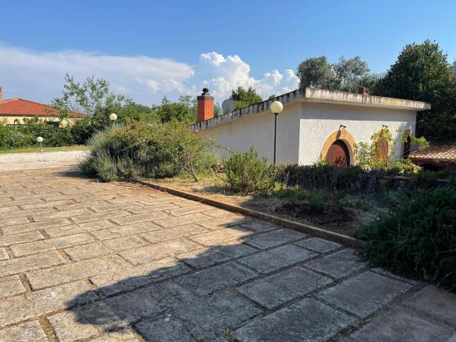 Proponiamo in zona Aiace Interlinea e precisamente in via Pallante, una Villa di 250 mq con piscina e circa 1000 mq di spazio esterno.La villa in locazione si sviluppa interamente al piano semicantinato a giorno con ingresso indipendente e spazio estern