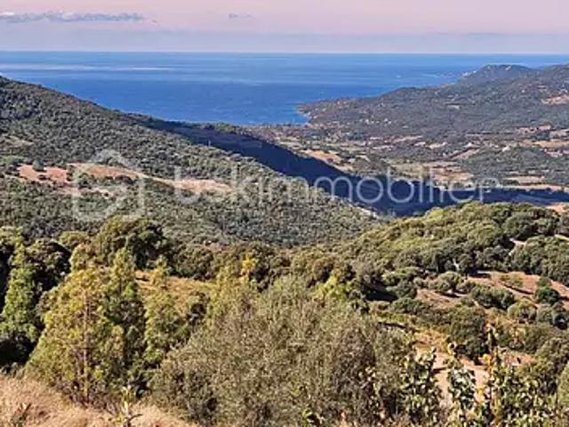 Fozzano 20143 Achat / Vente maison 4 pièces t4 terrasse cave