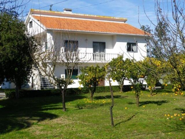 Propriedade 8.400m2 com Moradia e vários artigos. Monte Redondo