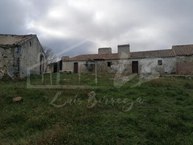 Propriedade 15 hectares