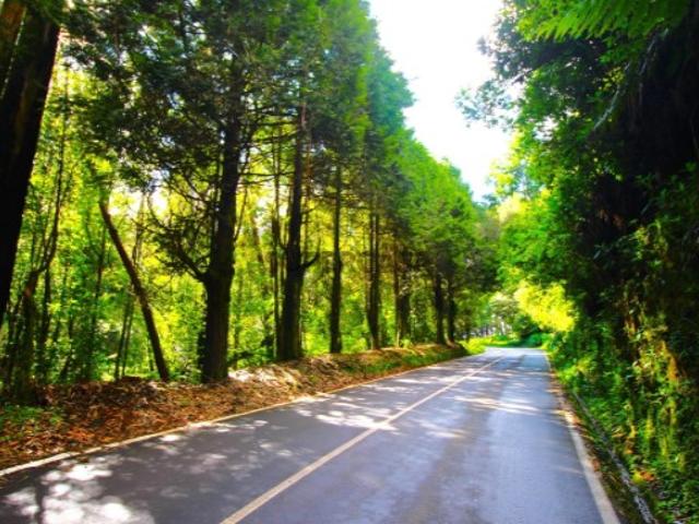 Propriedade 26.320m2, em Espaços Agrícolas, Espaços Florestais Mistos e de ocupação Turistica
