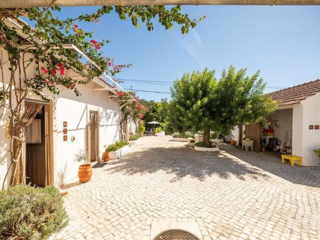 Propriedade T10 em Areias e Pias de 434 m² 434m² Areias e pias