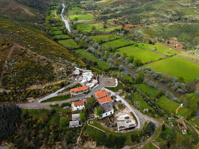 Propriedade única e exclusiva Centro de Portugal