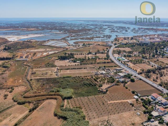 PROPRIEDADE única em Faro 3 HECTARES, INVESTIMENTO Sólid. 0m² Faro Sé e São Pedro