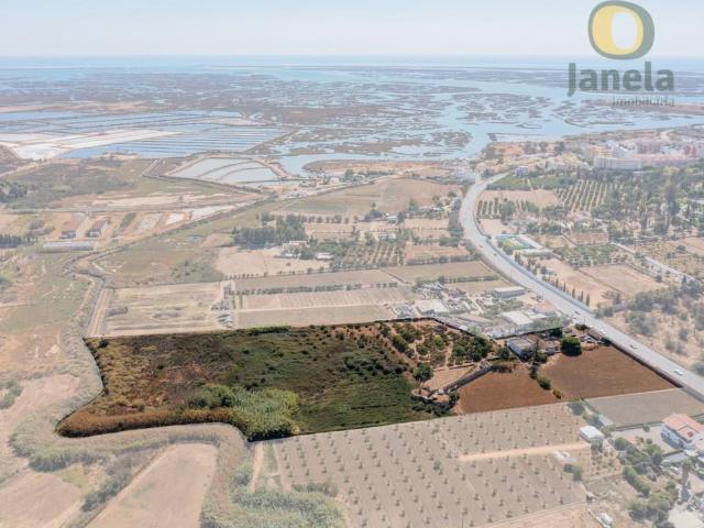 Propriedade única em Faro 3 Hectares, Investimento Sólid. 0m² Faro Sé e São Pedro