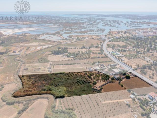 Propriedade única em Faro 3 Hectares, Investimento Sólid. 0m² Faro Sé e São Pedro