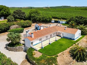 Propriedade Única no Alentejo com Aeródromo 272m² Ferreira do Alentejo e Canhestros