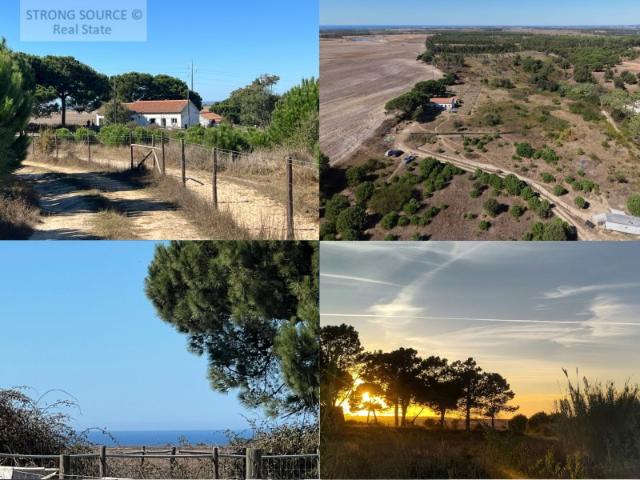 Propriedade a 8 km da Zambujeira do Mar, 7,5 ha, casa p/ recuperar, terra muito fértil e muita água