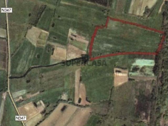 Propriedade Agrícola de 3,24 ha em Montemor o Velho
